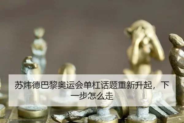 su-wei-de-ba-li-ao-yun-hui-dan-gang-hua-ti-chong-xin-sheng-qi-xia-yi-bu-zen-me-zou-3-803.jpg